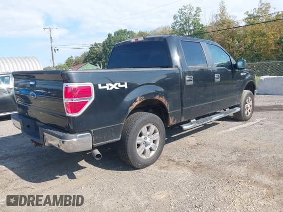 ✅ 2009 Ford F-150 XL • VIN: 1FTRW14899FB19462 • Lot: 43173510. Listed on IAAI with 195,631 mi. Free auction sales archive from the USA and detailed vehicle history report at DreamBid. Image 4.