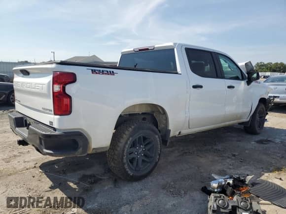 2021 Chevrolet Silverado 1500 Custom Trail Boss with VIN 1GCPYCEFXMZ164251, listed as a Copart auction lot 80461925 with Not provided miles and Salvage title. Bid and sale history available at DreamBid. Image 3.