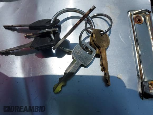 ✅ 1981 Ford Bronco • VIN: 1FMDU15GXBLA04667 • Lot: 42564029. Listed on IAAI with 8,852 mi. Free auction sales archive from the USA and detailed vehicle history report at DreamBid. Image 11.