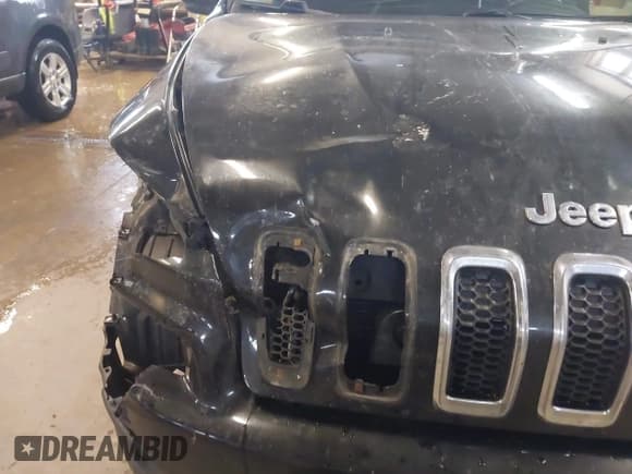 ✅ 2014 Jeep Cherokee Limited • VIN: 1C4PJMDS4EW191523 • Лот: 43831788. Опубликован ранее на IAAI с пробегом 192 215 миль. Бесплатный доступ к архиву аукционных продаж из США и подробный отчёт об истории автомобиля на DreamBid. Изображение 19.