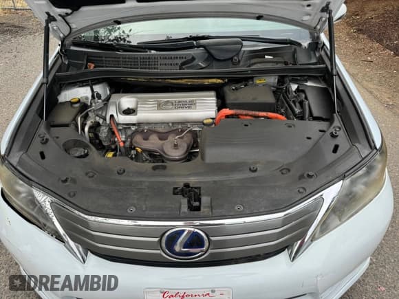 ✅ 2010 Lexus HS 250h • VIN: JTHBB1BA0A2007484 • Lot: 44655845. Wystawiony na Copart z przebiegiem 141 668 mil. Bezpłatny archiwum sprzedaży aukcyjnych z USA i szczegółowy raport historii pojazdu na DreamBid. Zdjęcie 7.