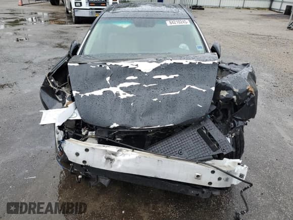 ✅ 2009 Lexus LS 460 • VIN: JTHBL46F495091310 • Lot: 84210245. Listed on Copart with Not provided. Free auction sales archive from the USA and detailed vehicle history report at DreamBid. Image 5.