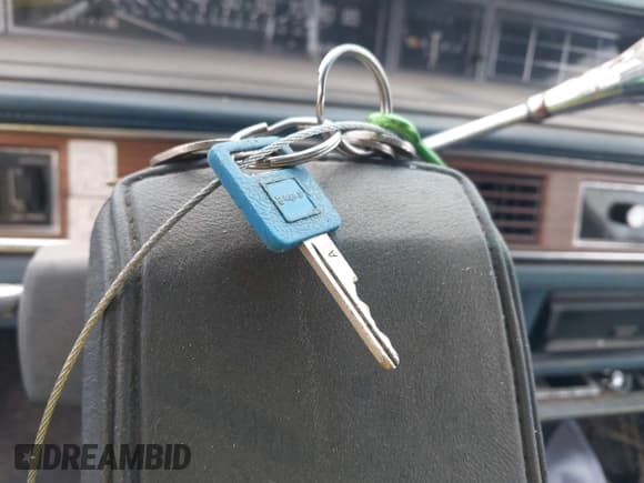 ✅ 1985 Oldsmobile 98 • VIN: 1G3CW6935F1319814 • Лот: 41753028. Опубликован ранее на IAAI с пробегом 247 168 миль. Бесплатный доступ к архиву аукционных продаж из США и подробный отчёт об истории автомобиля на DreamBid. Изображение 11.