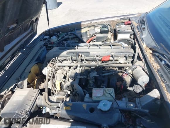 ✅ 1989 Jaguar XJ • VIN: SAJKY1548KC576361 • Lot: 42827334. Listed on IAAI with 7,914 mi. Free auction sales archive from the USA and detailed vehicle history report at DreamBid. Image 10.