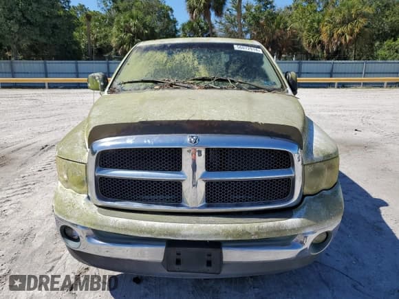 ✅ 2003 Dodge 1500 ST • VIN: 1D7HU18N13J515980 • Лот: 56072914. Опубликован ранее на Copart с пробегом 194 113 миль. Бесплатный доступ к архиву аукционных продаж из США и подробный отчёт об истории автомобиля на DreamBid. Изображение 5.