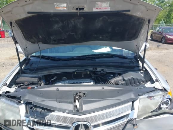 ✅ 2009 Acura MDX Technology • VIN: 2HNYD286X9H513576 • Lot: 42390229. Wystawiony na IAAI z przebiegiem 142 797 mil. Bezpłatny archiwum sprzedaży aukcyjnych z USA i szczegółowy raport historii pojazdu na DreamBid. Zdjęcie 10.