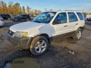 ✅ 2007 Ford Escape XLS • VIN: 1FMYU02Z97KA90892 • Lot: 94980705. Wystawiony na Copart z przebiegiem 189 254 mil. Bezpłatny archiwum sprzedaży aukcyjnych z USA i szczegółowy raport historii pojazdu na DreamBid. Zdjęcie 1.