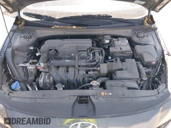 ✅ 2023 Hyundai Elantra SEL • VIN: 5NPLS4AG7PH111202 • Lot: 42014119. Listed on IAAI with 77,356 mi. Free auction sales archive from the USA and detailed vehicle history report at DreamBid. Image 10.