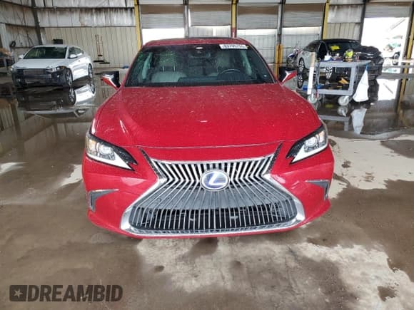 ✅ 2019 Lexus ES 300h Luxury • VIN: JTHB21B14K2013077 • Lot: 83795755. Listed on Copart with 77,022 mi. Free auction sales archive from the USA and detailed vehicle history report at DreamBid. Image 5.