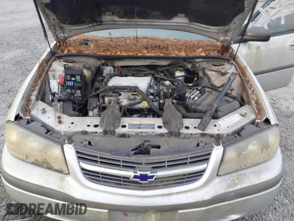 ✅ 2004 Chevrolet Impala • VIN: 2G1WF52E349401674 • Lot: 43775599. Listed on IAAI with Not provided. Free auction sales archive from the USA and detailed vehicle history report at DreamBid. Image 10.