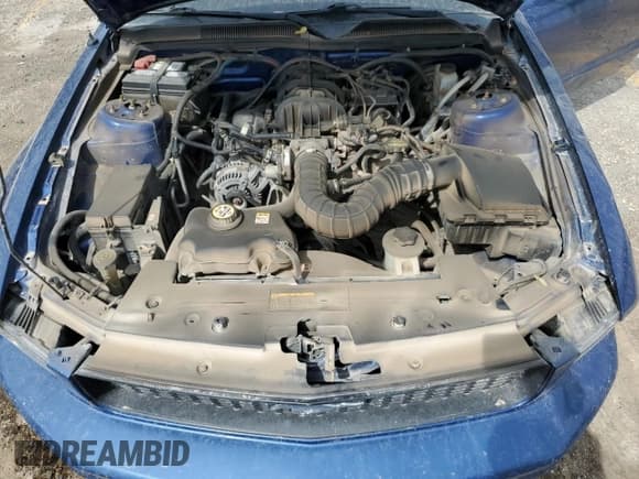 ✅ 2009 Ford Mustang • VIN: 1ZVHT80N395127410 • Lot: 53974835. Wystawiony na Copart z przebiegiem 146 356 mil. Bezpłatny archiwum sprzedaży aukcyjnych z USA i szczegółowy raport historii pojazdu na DreamBid. Zdjęcie 11.