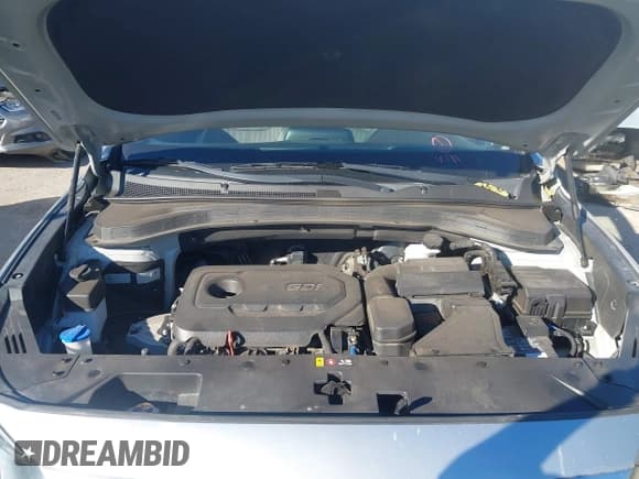 ✅ 2020 Hyundai Santa Fe SE • VIN: 5NMS23AD6LH215067 • Lot: 43603846. Wystawiony na IAAI z przebiegiem 89 843 mil. Bezpłatny archiwum sprzedaży aukcyjnych z USA i szczegółowy raport historii pojazdu na DreamBid. Zdjęcie 10.