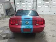 ✅ 2006 Ford Mustang Standard • VIN: 1ZVHT80N265230121 • Lot: 43731148. Listed on IAAI with Not provided. Free auction sales archive from the USA and detailed vehicle history report at DreamBid. Image 15.