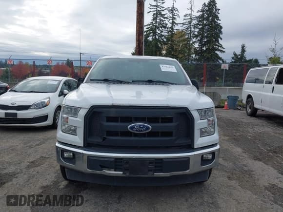 ✅ 2017 Ford F-150 XL • VIN: 1FTEX1C8XHKD90131 • Lot: 43566875. Listed on IAAI with 141,923 mi. Free auction sales archive from the USA and detailed vehicle history report at DreamBid. Image 12.