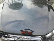 ✅ 2013 Audi S5 Premium Plus • VIN: WAUCGAFR3DA068214 • Lot: 69732035. Wystawiony na Copart z przebiegiem 132 734 mil. Bezpłatny archiwum sprzedaży aukcyjnych z USA i szczegółowy raport historii pojazdu na DreamBid. Zdjęcie 11.