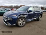 ✅ 2021 Hyundai Santa Fe SEL • VIN: 5NMS2DAJ4MH295157 • Lot: 76834743. Wystawiony na Copart z przebiegiem 33 583 mil. Bezpłatny archiwum sprzedaży aukcyjnych z USA i szczegółowy raport historii pojazdu na DreamBid. Zdjęcie 1.