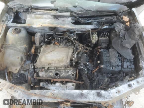 2006 Chevrolet Malibu 1FL with VIN 1G1ZS51896F158225, listed as a Copart auction lot 69076055 with Not provided miles and Salvage title. Bid and sale history available at DreamBid. Image 11.