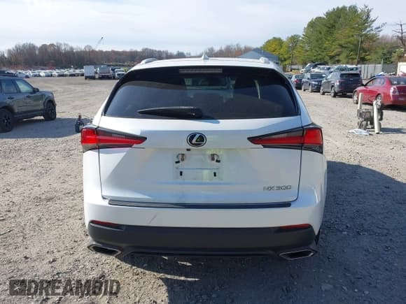 ✅ 2018 Lexus NX 300 • VIN: JTJYARBZ4J2099201 • Lot: 43725939. Listed on IAAI with 48,766 mi. Free auction sales archive from the USA and detailed vehicle history report at DreamBid. Image 14.
