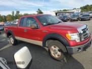 ✅ 2009 Ford F-150 STX • VIN: 1FTRX14899KA96835 • Lot: 81296265. Listed on Copart with 139,726 mi. Free auction sales archive from the USA and detailed vehicle history report at DreamBid. Image 4.