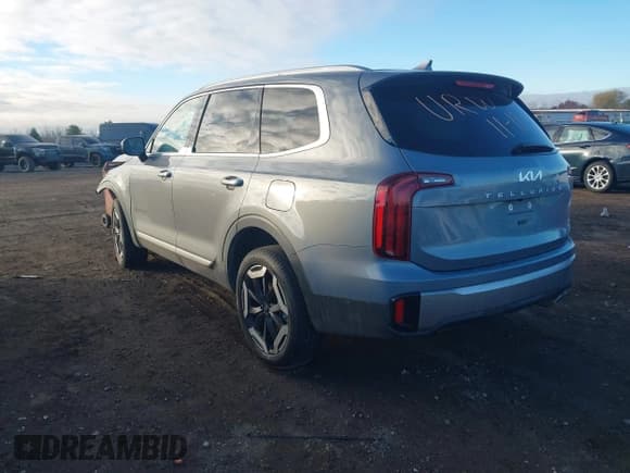 ✅ 2025 Kia Telluride S • VIN: 5XYP6DGC4SG618925 • Lot: 43739288. Listed on IAAI with 20,891 mi. Free auction sales archive from the USA and detailed vehicle history report at DreamBid. Image 3.