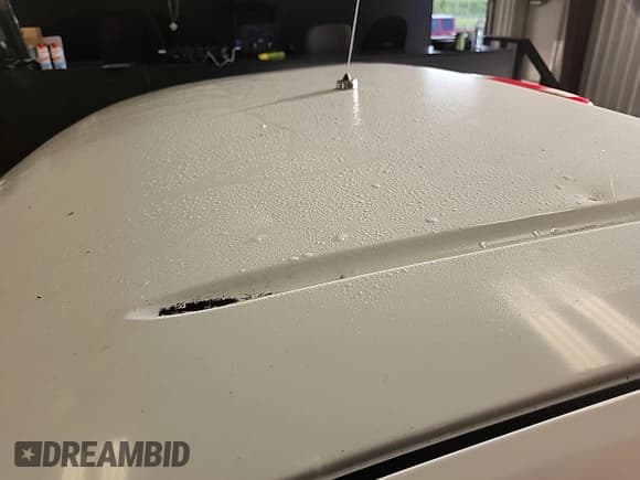 ✅ 2010 Chevrolet Silverado 1500 Work Truck • VIN: 1GCPCPEXXAZ175230 • Lot: 42743908. Listed on IAAI with 102,958 mi. Free auction sales archive from the USA and detailed vehicle history report at DreamBid. Image 1.