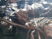 ✅ 2019 Chevrolet Tahoe Commercial • VIN: 1GNLCDEC7KR242739 • Lot: 85750395. Wystawiony na Copart z przebiegiem Nie podano. Bezpłatny archiwum sprzedaży aukcyjnych z USA i szczegółowy raport historii pojazdu na DreamBid. Zdjęcie 9.