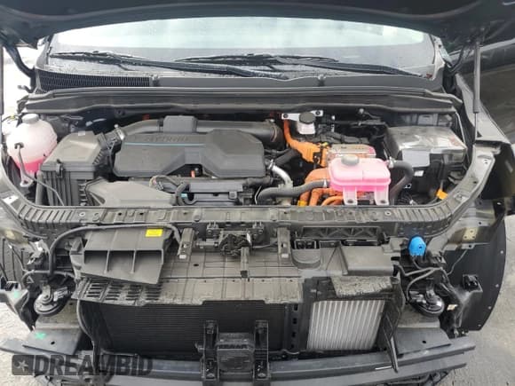 ✅ 2025 Kia Carnival EX • VIN: KNDNC5KA9S6033790 • Lot: 80074095. Listed on Copart with 12,855 mi. Free auction sales archive from the USA and detailed vehicle history report at DreamBid. Image 12.