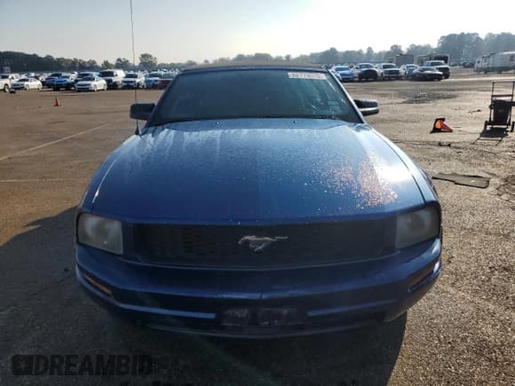 ✅ 2007 Ford Mustang Deluxe • VIN: 1ZVFT84N075280423 • Lot: 82774525. Listed on Copart with 193,579 mi. Free auction sales archive from the USA and detailed vehicle history report at DreamBid. Image 5.