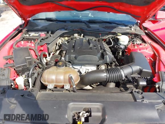 ✅ 2015 Ford Mustang EcoBoost • VIN: 1FA6P8THXF5338156 • Лот: 43321391. Опубликован ранее на IAAI с пробегом 197 467 миль. Бесплатный доступ к архиву аукционных продаж из США и подробный отчёт об истории автомобиля на DreamBid. Изображение 10.