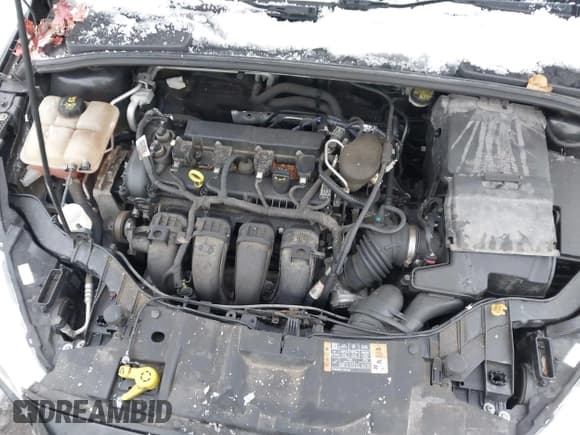 ✅ 2015 Ford Focus SE • VIN: 1FADP3F2XFL383305 • Lot: 43818240. Listed on IAAI with 135,148 mi. Free auction sales archive from the USA and detailed vehicle history report at DreamBid. Image 10.