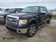 ✅ 2013 Ford F-150 XL • VIN: 1FTFX1EF2DFC38086 • Lot: 75994094. Wystawiony na Copart z przebiegiem Nie podano. Bezpłatny archiwum sprzedaży aukcyjnych z USA i szczegółowy raport historii pojazdu na DreamBid. Zdjęcie 1.