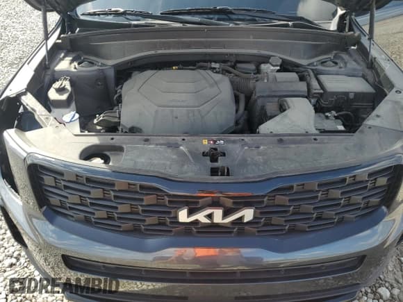 ✅ 2022 Kia Telluride EX • VIN: 5XYP3DHC2NG250725 • Лот: 81279465. Опубликован ранее на Copart с пробегом 47 364 миль. Бесплатный доступ к архиву аукционных продаж из США и подробный отчёт об истории автомобиля на DreamBid. Изображение 12.