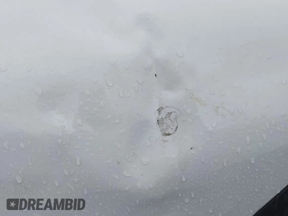 ✅ 2014 MINI Countryman S • VIN: WMWZC5C50EWP37672 • Лот: 43608947. Опубликован ранее на IAAI с пробегом Не указан. Бесплатный доступ к архиву аукционных продаж из США и подробный отчёт об истории автомобиля на DreamBid. Изображение 14.