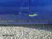 2012 Dodge Avenger SE с VIN 1C3CDZAG4CN254548, выставлен на аукционе Copart как лот 73857724 с пробегом 61 528 миль миль и Списание • Salvage title. История ставок и продаж доступна на DreamBid. Изображение 12.