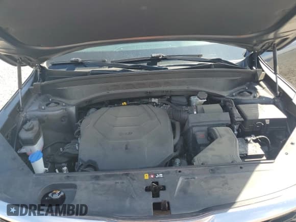 ✅ 2022 Kia Telluride S • VIN: 5XYP6DHC8NG240157 • Lot: 82125815. Wystawiony na Copart z przebiegiem 30 312 mil. Bezpłatny archiwum sprzedaży aukcyjnych z USA i szczegółowy raport historii pojazdu na DreamBid. Zdjęcie 12.