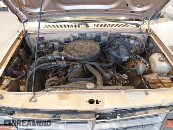 ✅ 1987 Dodge Dakota • VIN: 1B7GR14M4HS512318 • Lot: 43295833. Wystawiony na IAAI z przebiegiem 185 450 mil. Bezpłatny archiwum sprzedaży aukcyjnych z USA i szczegółowy raport historii pojazdu na DreamBid. Zdjęcie 10.