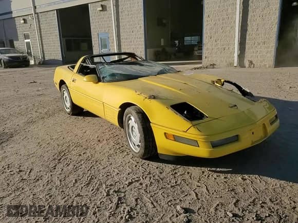 1991 Chevrolet Corvette with VIN 1G1YY2384M5114478, listed as a Copart auction lot 43314585 with Not provided miles and Salvage title. Bid and sale history available at DreamBid. Image 11.