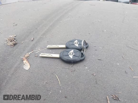 ✅ 2006 MINI Convertible • VIN: WMWRF33546TG15107 • Lot: 42983138. Wystawiony na IAAI z przebiegiem Nie podano. Bezpłatny archiwum sprzedaży aukcyjnych z USA i szczegółowy raport historii pojazdu na DreamBid. Zdjęcie 11.