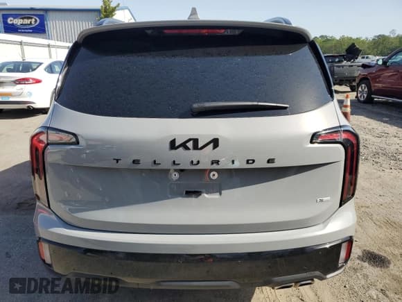 ✅ 2025 Kia Telluride SX X-Line • VIN: 5XYP5DGC3SG568800 • Lot: 57134715. Wystawiony na Copart z przebiegiem Nie podano. Bezpłatny archiwum sprzedaży aukcyjnych z USA i szczegółowy raport historii pojazdu na DreamBid. Zdjęcie 6.