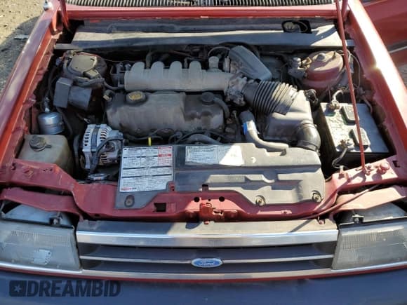 ✅ 1988 Ford Tempo • VIN: 1FAPP36X3JK242180 • Lot: 43068915. Listed on Copart with 508,437 mi. Free auction sales archive from the USA and detailed vehicle history report at DreamBid. Image 11.