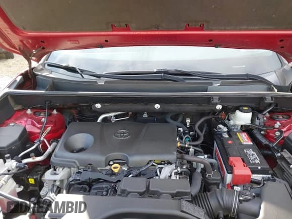 ✅ 2021 Toyota RAV4 XLE • VIN: 2T3P1RFV0MW159167 • Lot: 43605933. Wystawiony na IAAI z przebiegiem 88 477 mil. Bezpłatny archiwum sprzedaży aukcyjnych z USA i szczegółowy raport historii pojazdu na DreamBid. Zdjęcie 10.