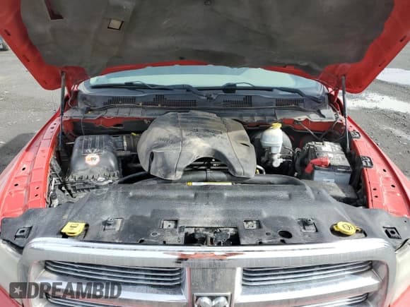 ✅ 2010 Dodge 1500 SLT • VIN: 1D7RV1GT3AS191987 • Lot: 48931705. Wystawiony na Copart z przebiegiem 209 202 mil. Bezpłatny archiwum sprzedaży aukcyjnych z USA i szczegółowy raport historii pojazdu na DreamBid. Zdjęcie 11.