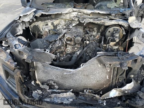 ✅ 2019 Ford F-150 XL • VIN: 1FTEW1E56KFA11566 • Lot: 70921015. Listed on Copart with Not provided. Free auction sales archive from the USA and detailed vehicle history report at DreamBid. Image 11.