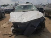 ✅ 2024 Hyundai Tucson SEL • VIN: 5NMJF3DE5RH351445 • Lot: 62454184. Wystawiony na Copart z przebiegiem Nie podano. Bezpłatny archiwum sprzedaży aukcyjnych z USA i szczegółowy raport historii pojazdu na DreamBid. Zdjęcie 5.