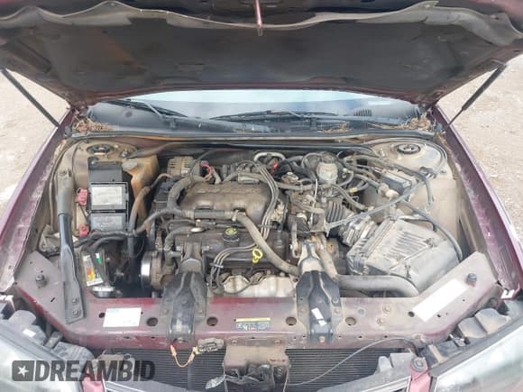 ✅ 2002 Chevrolet Impala • VIN: 2G1WF55E729103699 • Lot: 42301847. Wystawiony na IAAI z przebiegiem 377 306 mil. Bezpłatny archiwum sprzedaży aukcyjnych z USA i szczegółowy raport historii pojazdu na DreamBid. Zdjęcie 10.