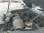 ✅ 2008 Ford F-150 STX • VIN: 1FTRX12W58KD27262 • Lot: 43737658. Wystawiony na IAAI z przebiegiem 133 999 mil. Bezpłatny archiwum sprzedaży aukcyjnych z USA i szczegółowy raport historii pojazdu na DreamBid. Zdjęcie 19.