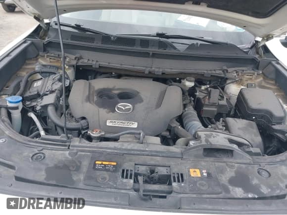 ✅ 2017 Mazda CX-9 Sport • VIN: JM3TCBBY3H0139514 • Lot: 42082162. Listed on IAAI with 54,077 mi. Free auction sales archive from the USA and detailed vehicle history report at DreamBid. Image 10.