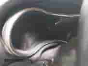 2014 Jeep Grand Cherokee Limited z VIN 1C4RJFBG0EC213215, wystawiony jako IAAI lot #43260723 z przebiegiem Nie podano mil oraz . Historia ofert i sprzedaży dostępna na DreamBid. Obrazek 7.