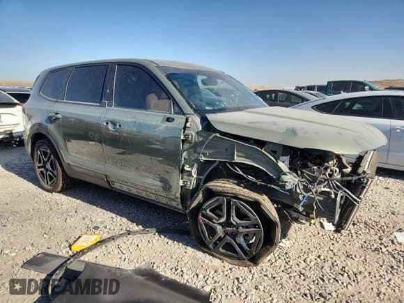 ✅ 2024 Kia Telluride SX X-Pro • VIN: 5XYP5DGC1RG554680 • Lot: 66643845. Wystawiony na Copart z przebiegiem 10 143 mil. Bezpłatny archiwum sprzedaży aukcyjnych z USA i szczegółowy raport historii pojazdu na DreamBid. Zdjęcie 4.