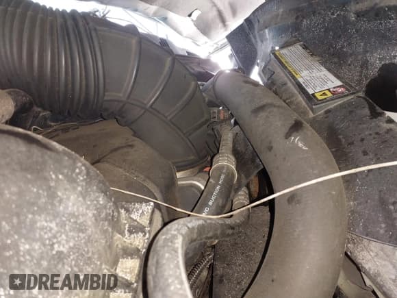 ✅ 2010 Dodge 1500 SLT • VIN: 1D7RV1CT3AS260229 • Lot: 41629225. Wystawiony na IAAI z przebiegiem 104 429 mil. Bezpłatny archiwum sprzedaży aukcyjnych z USA i szczegółowy raport historii pojazdu na DreamBid. Zdjęcie 19.